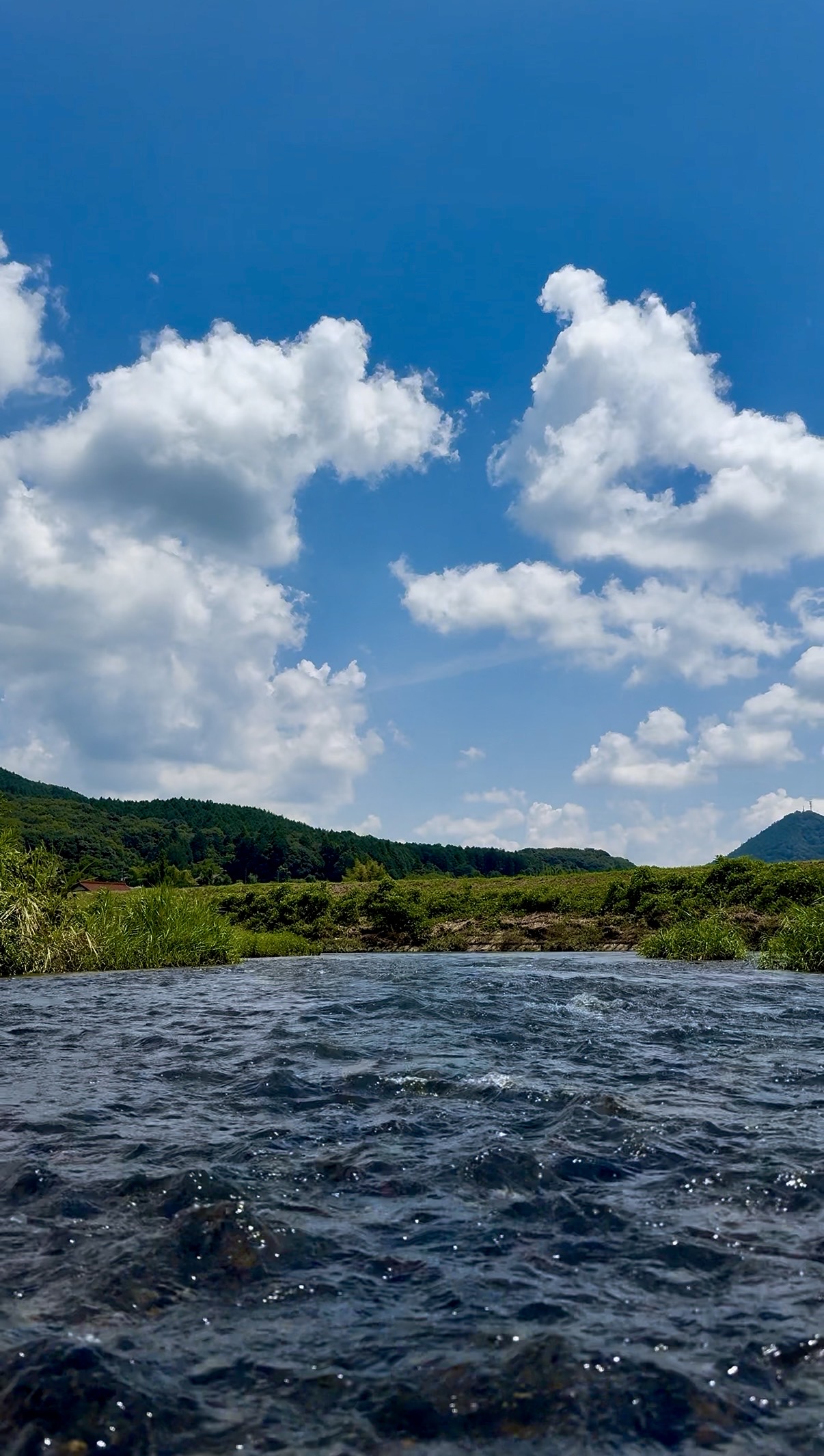 山口県のながのぼりに関するの風景